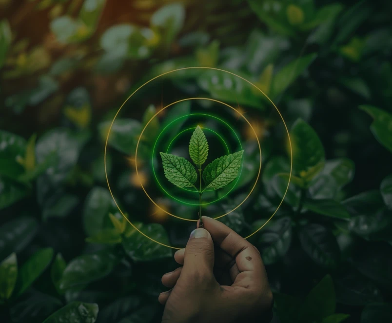 Sustainable Hover Image
